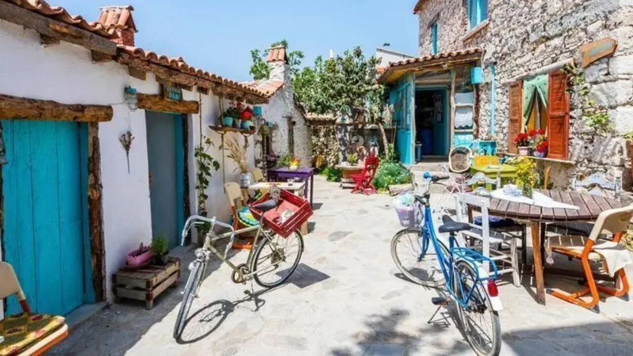 ZAMANIN URLASI Hafıza-Sağlık-Tarım-Gelenek